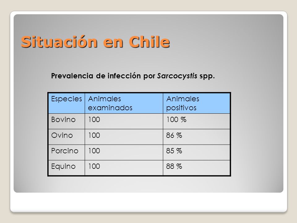 Situación en Chile Prevalencia de infección por Sarcocystis spp.
