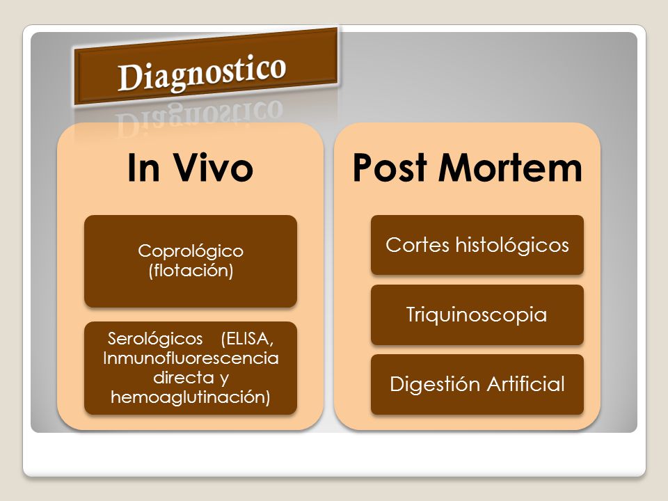 Post Mortem In Vivo Diagnostico Cortes histológicos Triquinoscopia