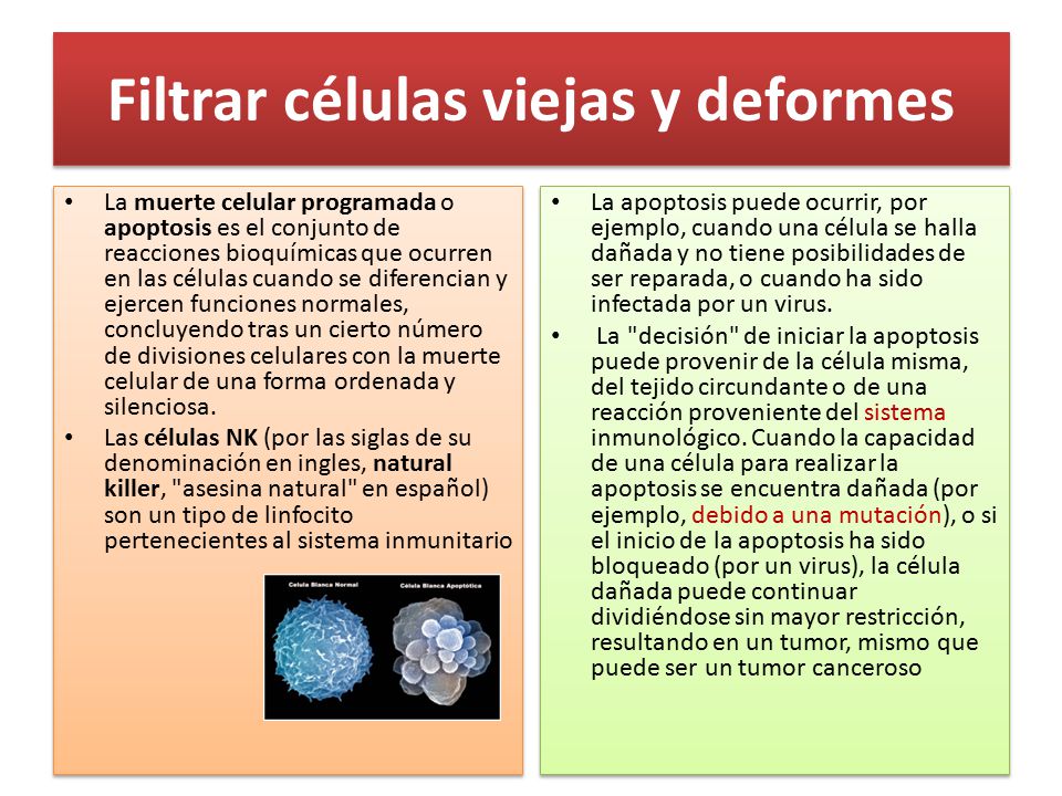 Filtrar células viejas y deformes