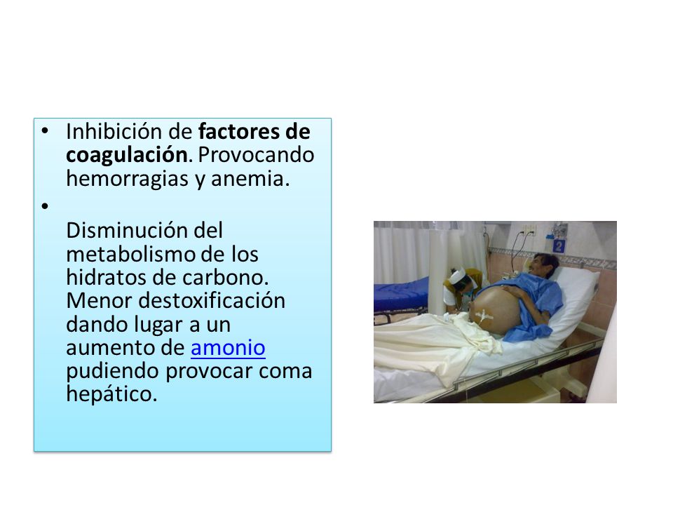 Inhibición de factores de coagulación. Provocando hemorragias y anemia.
