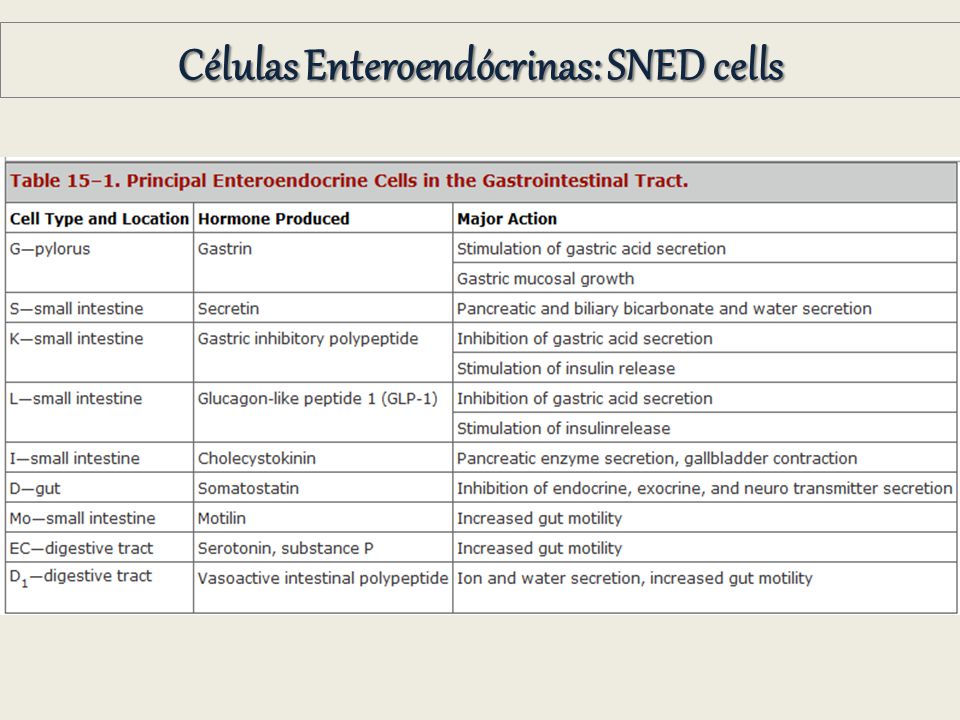 Células Enteroendócrinas: SNED cells