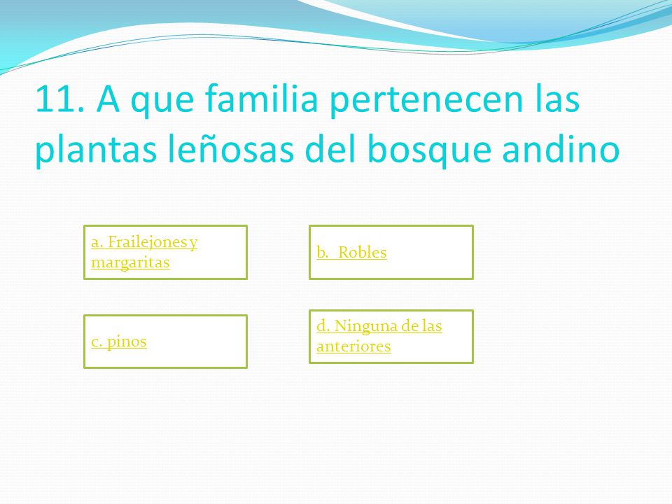 11. A que familia pertenecen las plantas leñosas del bosque andino