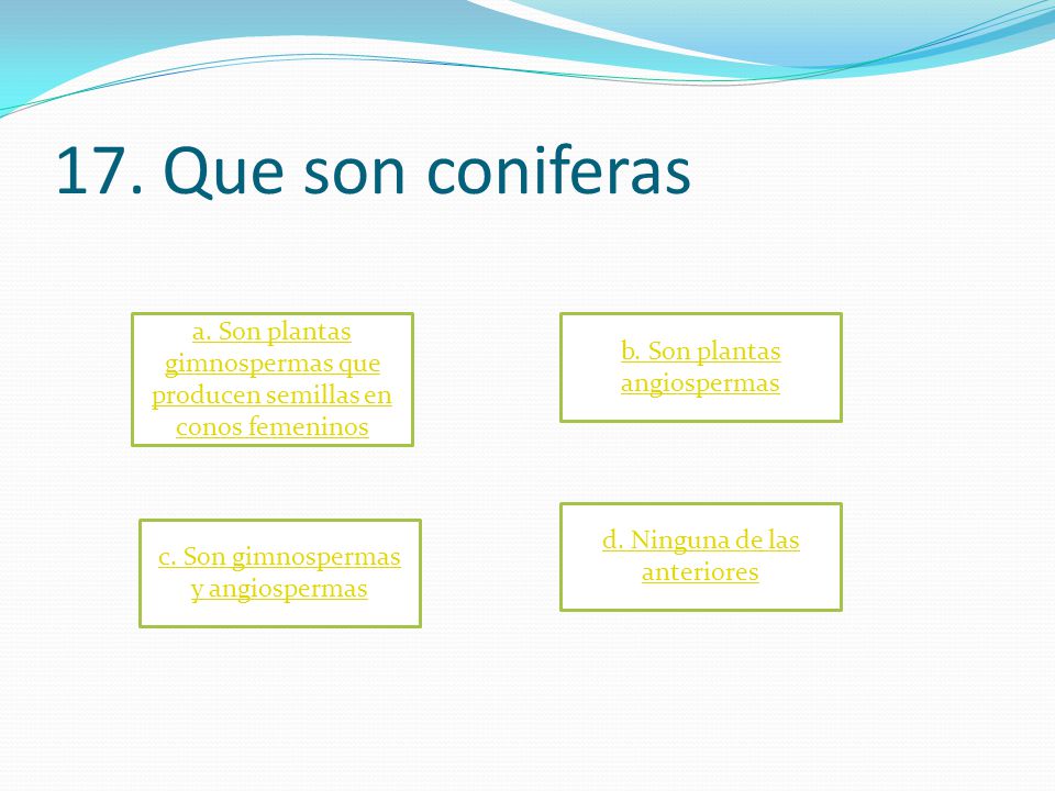 17. Que son coniferas a. Son plantas gimnospermas que producen semillas en conos femeninos. b. Son plantas angiospermas.