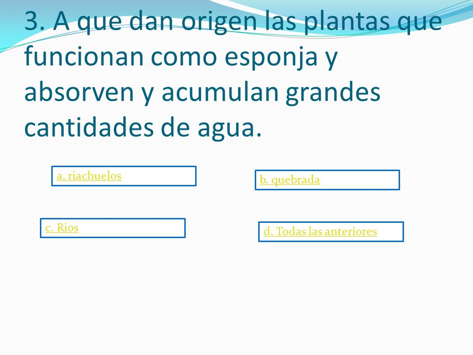 3. A que dan origen las plantas que funcionan como esponja y absorven y acumulan grandes cantidades de agua.