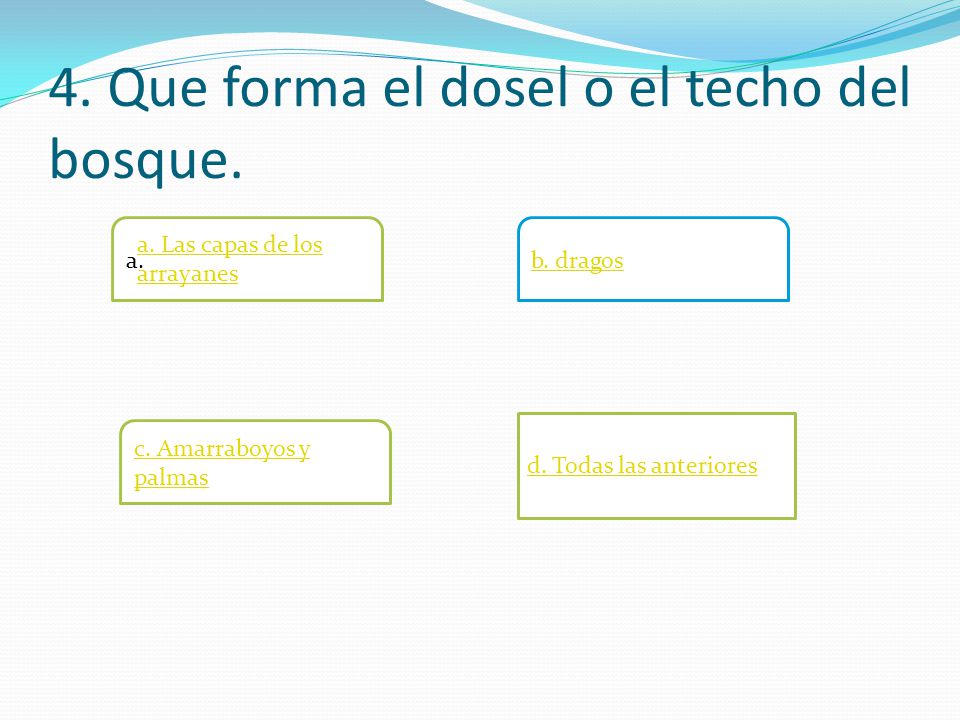 4. Que forma el dosel o el techo del bosque.