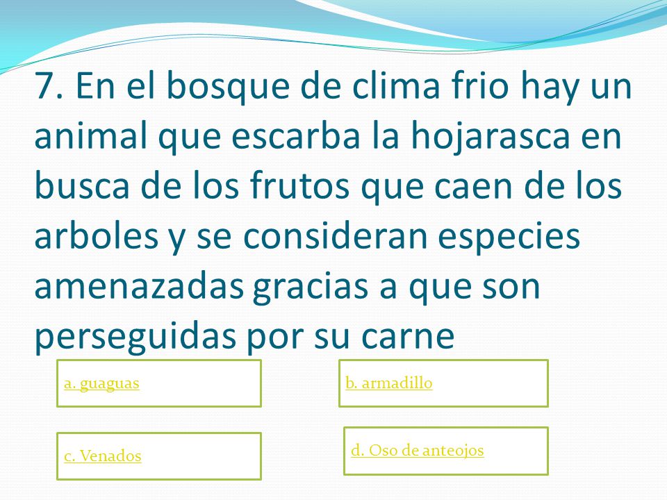 7. En el bosque de clima frio hay un animal que escarba la hojarasca en busca de los frutos que caen de los arboles y se consideran especies amenazadas gracias a que son perseguidas por su carne