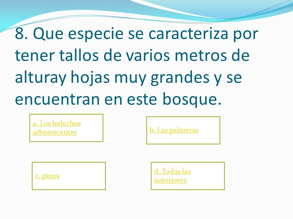 8. Que especie se caracteriza por tener tallos de varios metros de alturay hojas muy grandes y se encuentran en este bosque.