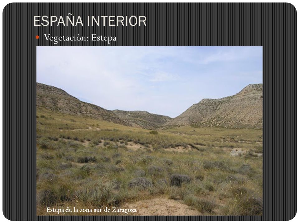 ESPAÑA INTERIOR Vegetación: Estepa Estepa de la zona sur de Zaragoza