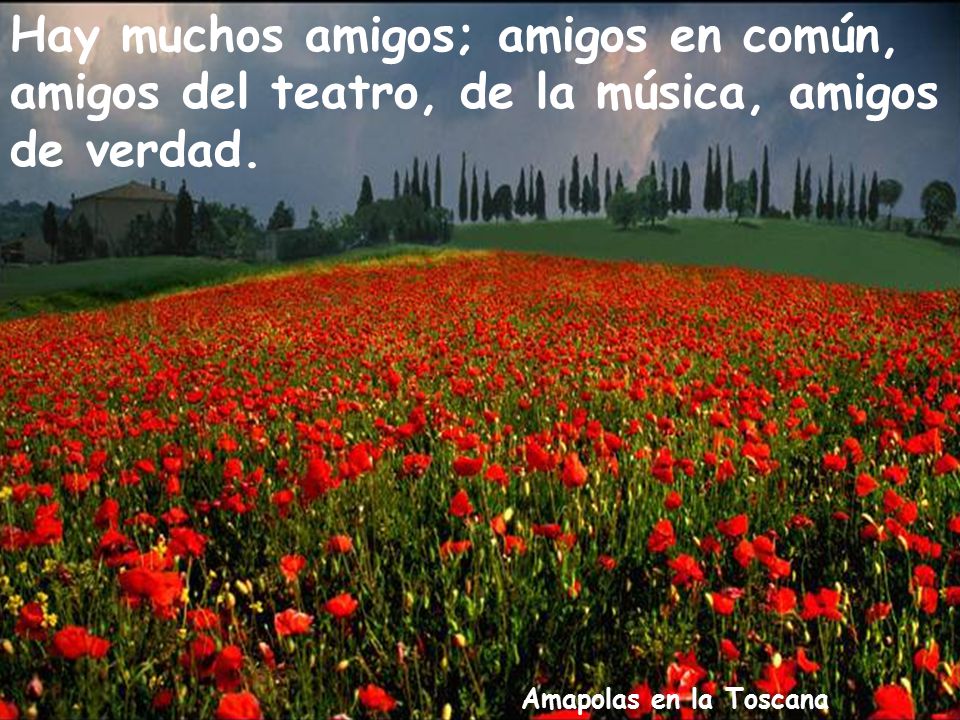 Hay muchos amigos; amigos en común, amigos del teatro, de la música, amigos de verdad.