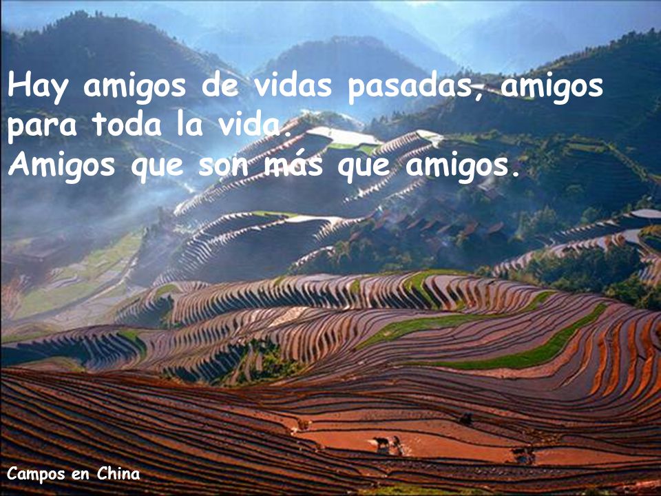 Hay amigos de vidas pasadas, amigos para toda la vida.