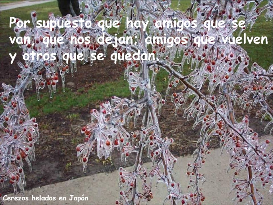 Por supuesto que hay amigos que se van, que nos dejan; amigos que vuelven y otros que se quedan.