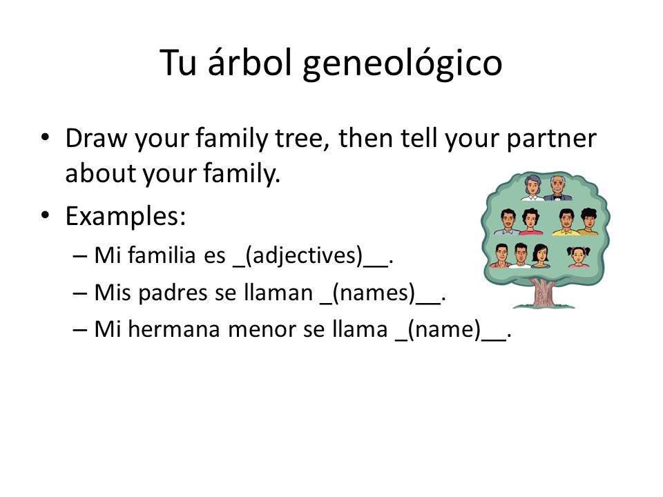 Tu árbol geneológico Draw your family tree, then tell your partner about your family. Examples: Mi familia es _(adjectives)__.