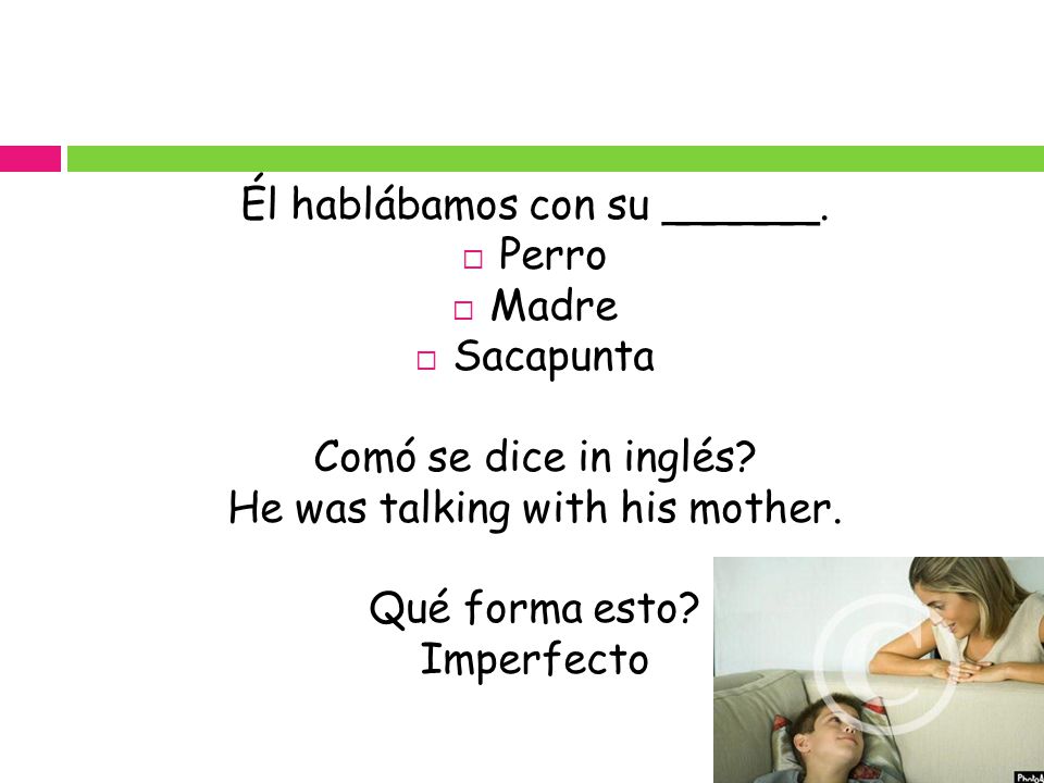 Él hablábamos con su ______. Perro Madre Sacapunta
