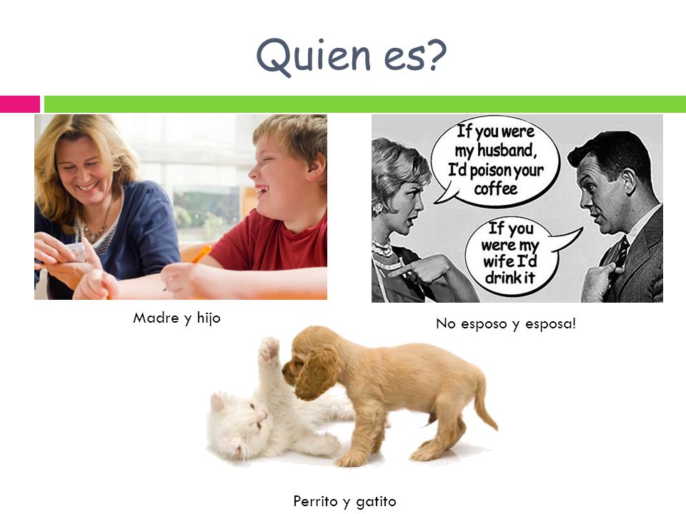 Quien es Madre y hijo No esposo y esposa! Perrito y gatito