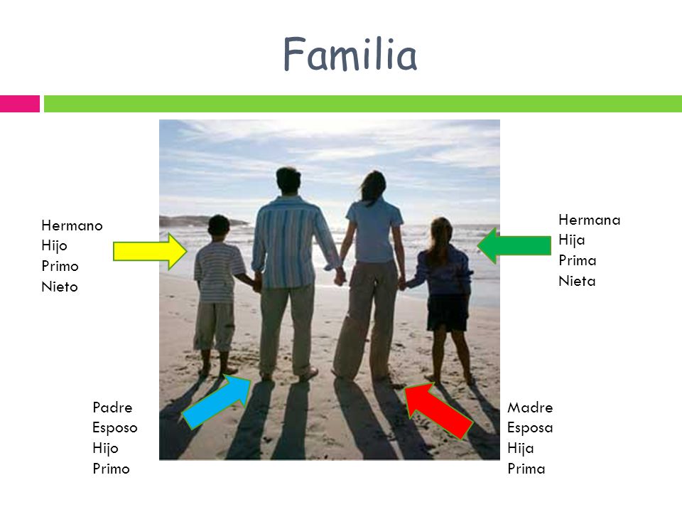 Familia Hermana Hija Prima Nieta Hermano Hijo Primo Nieto Padre Esposo