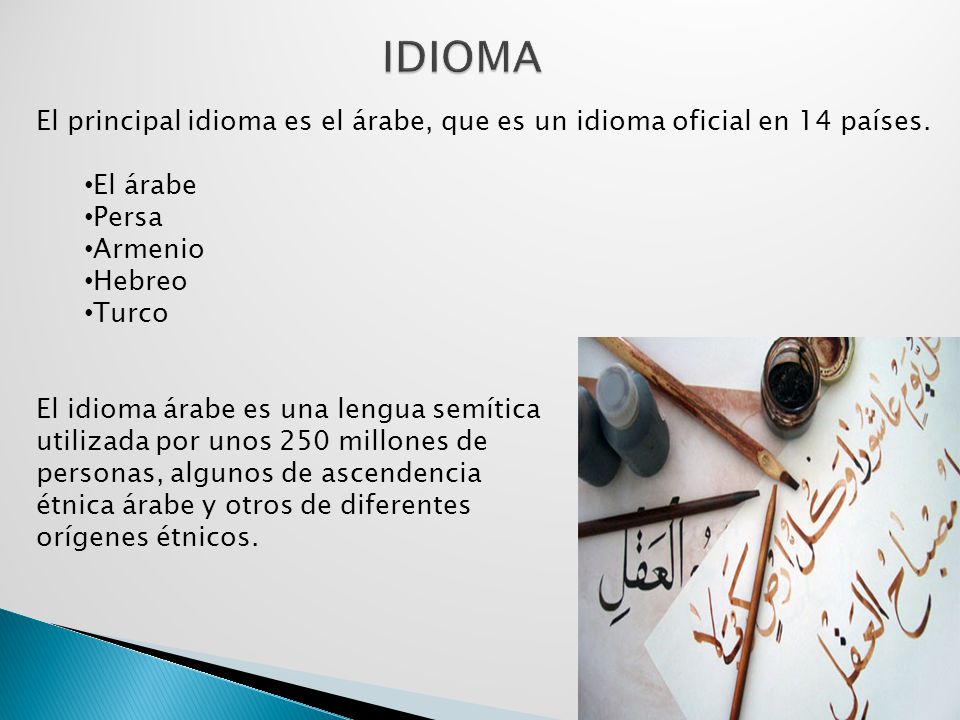 IDIOMA El principal idioma es el árabe, que es un idioma oficial en 14 países. El árabe. Persa. Armenio.