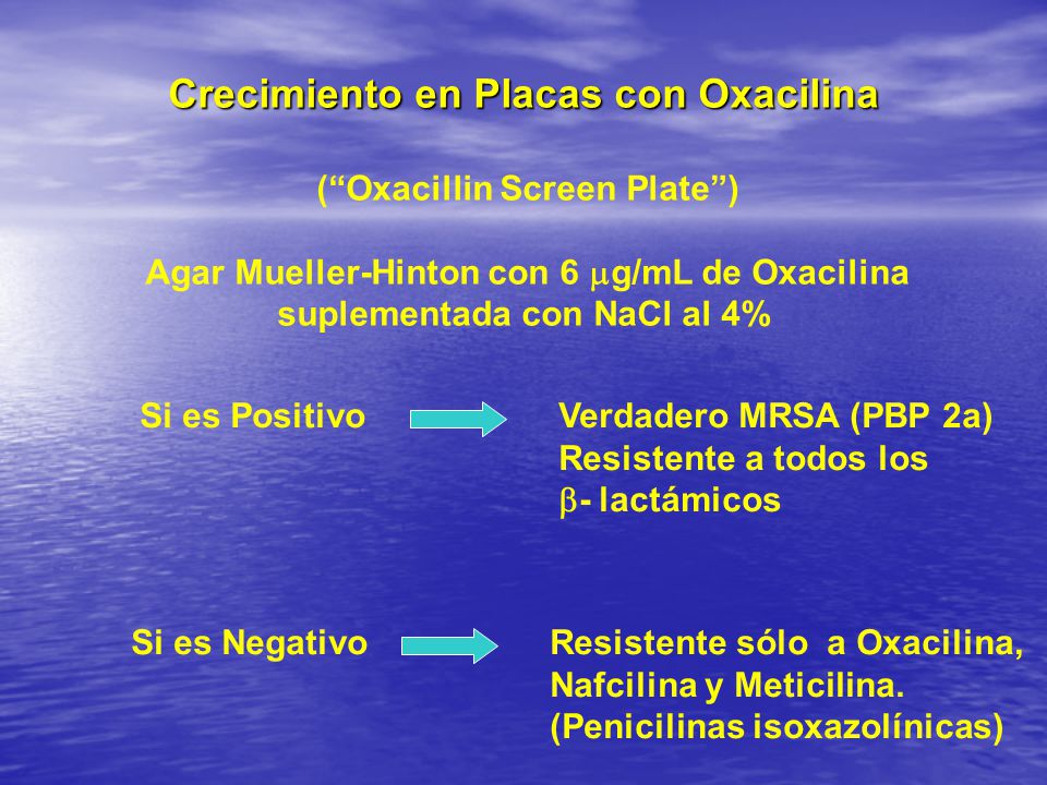 Crecimiento en Placas con Oxacilina