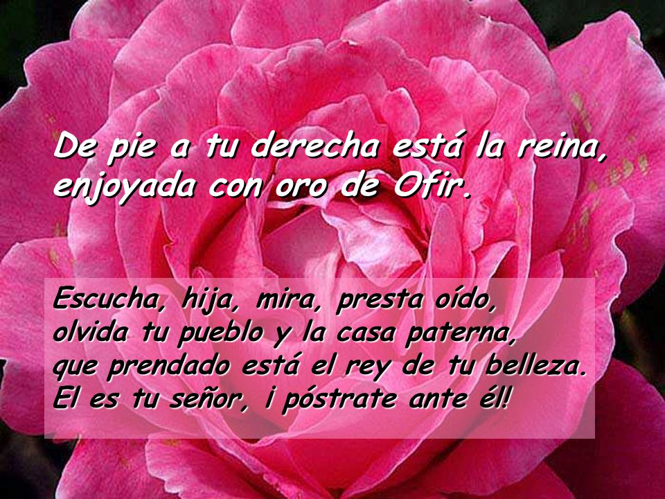 De pie a tu derecha está la reina, enjoyada con oro de Ofir.