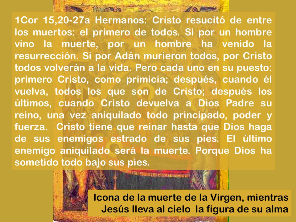 1Cor 15,20-27a Hermanos: Cristo resucitó de entre los muertos: el primero de todos. Si por un hombre vino la muerte, por un hombre ha venido la resurrección. Si por Adán murieron todos, por Cristo todos volverán a la vida. Pero cada uno en su puesto: primero Cristo, como primicia; después, cuando él vuelva, todos los que son de Cristo; después los últimos, cuando Cristo devuelva a Dios Padre su reino, una vez aniquilado todo principado, poder y fuerza. Cristo tiene que reinar hasta que Dios haga de sus enemigos estrado de sus pies. El último enemigo aniquilado será la muerte. Porque Dios ha sometido todo bajo sus pies.