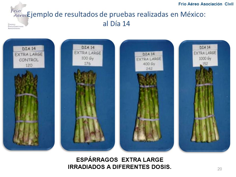 Ejemplo de resultados de pruebas realizadas en México: al Día 14
