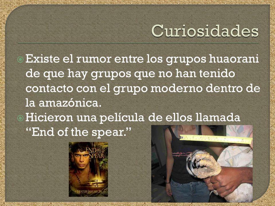 Curiosidades Existe el rumor entre los grupos huaorani de que hay grupos que no han tenido contacto con el grupo moderno dentro de la amazónica.