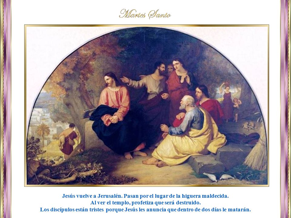 Jesús vuelve a Jerusalén. Pasan por el lugar de la higuera maldecida.