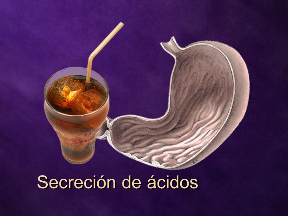 Secreción de ácidos