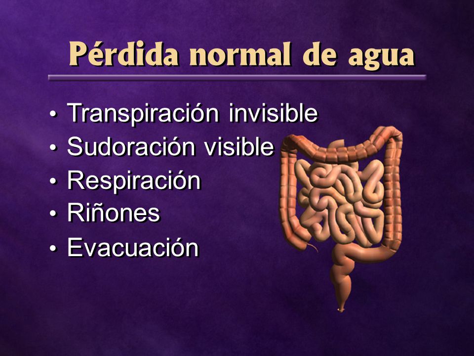 Pérdida normal de agua Transpiración invisible Sudoración visible