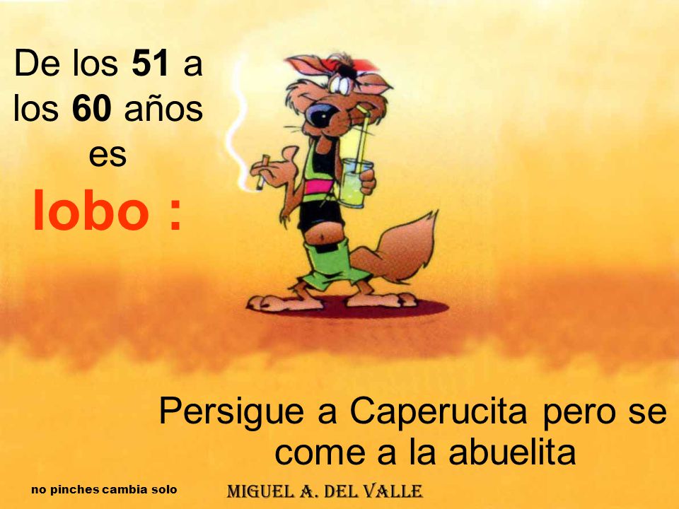 De los 51 a los 60 años es lobo :