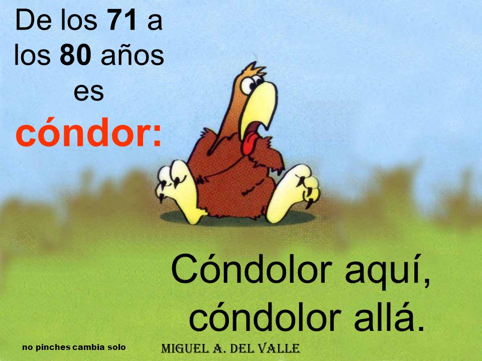 De los 71 a los 80 años es cóndor:
