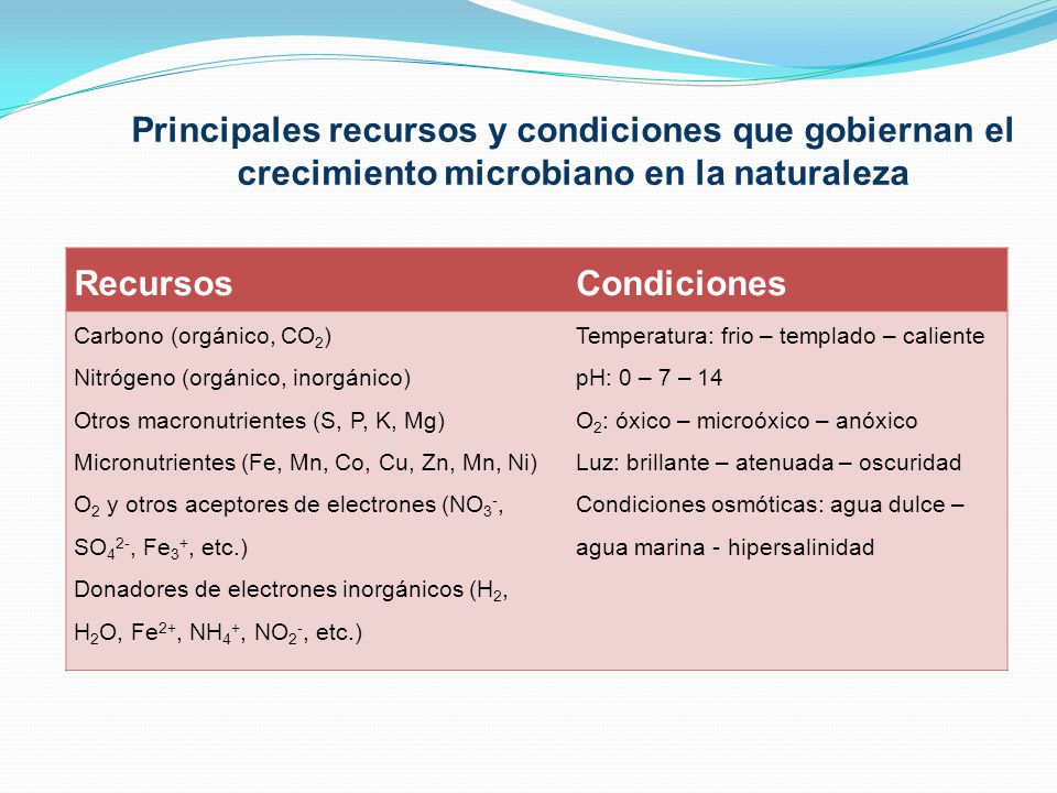 Principales recursos y condiciones que gobiernan el crecimiento microbiano en la naturaleza