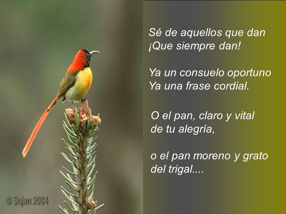 Sé de aquellos que dan ¡Que siempre dan! Ya un consuelo oportuno. Ya una frase cordial. O el pan, claro y vital.