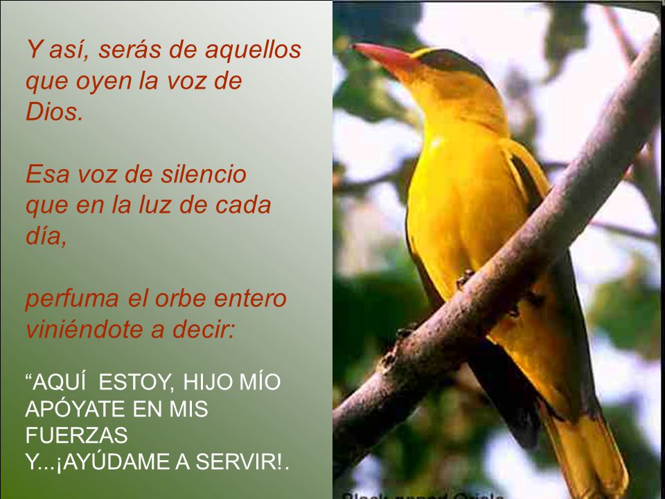 Y así, serás de aquellos que oyen la voz de Dios. Esa voz de silencio