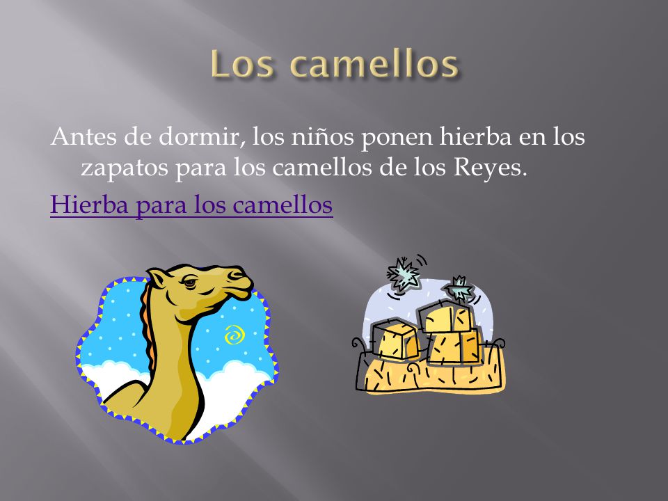 Los camellos Antes de dormir, los niños ponen hierba en los zapatos para los camellos de los Reyes.