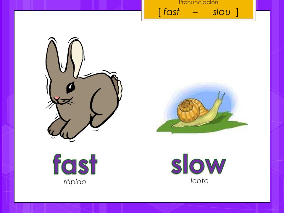 Pronunciación [ fast – slou ] fast slow rápido lento