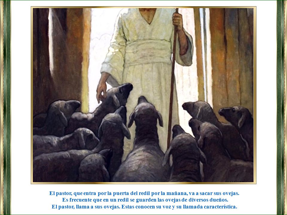 Es frecuente que en un redil se guarden las ovejas de diversos dueños.