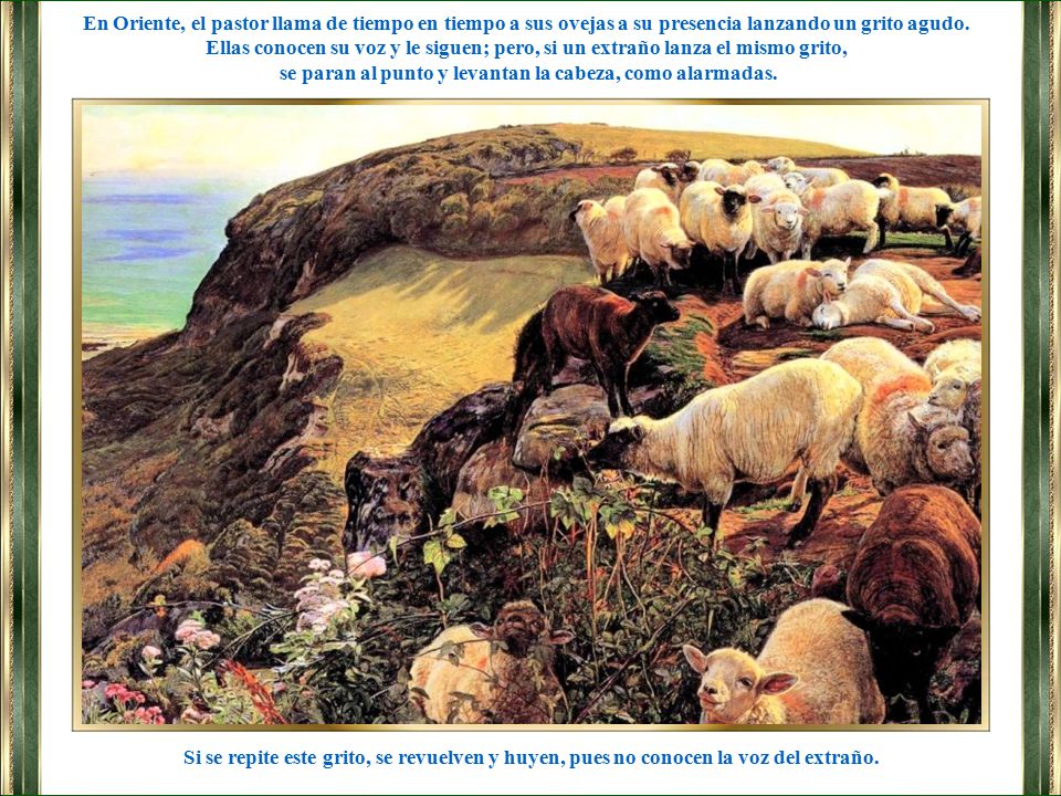 se paran al punto y levantan la cabeza, como alarmadas.
