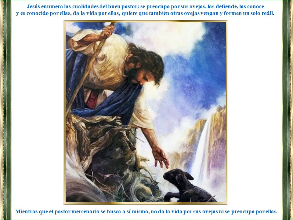 Jesús enumera las cualidades del buen pastor: se preocupa por sus ovejas, las defiende, las conoce