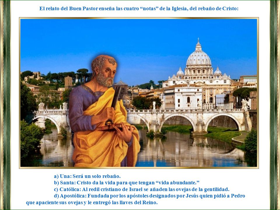 El relato del Buen Pastor enseña las cuatro notas de la Iglesia, del rebaño de Cristo:
