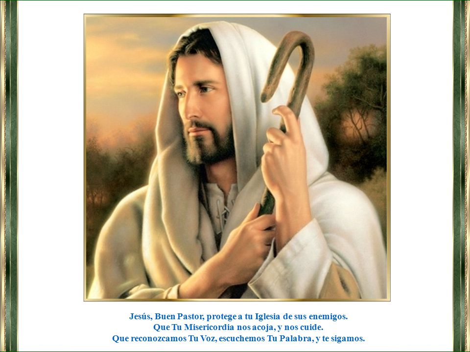 Jesús, Buen Pastor, protege a tu Iglesia de sus enemigos.