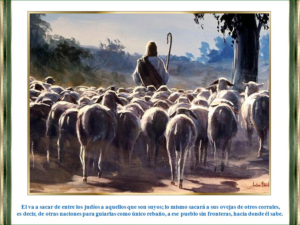 El va a sacar de entre los judíos a aquellos que son suyos; lo mismo sacará a sus ovejas de otros corrales,