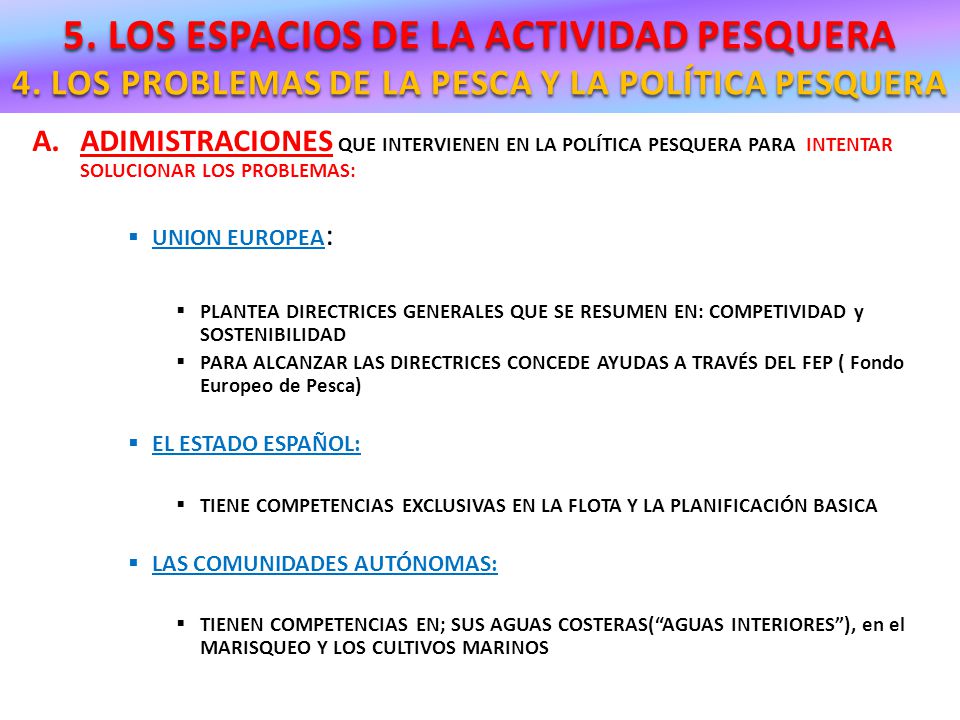 5. LOS ESPACIOS DE LA ACTIVIDAD PESQUERA 4