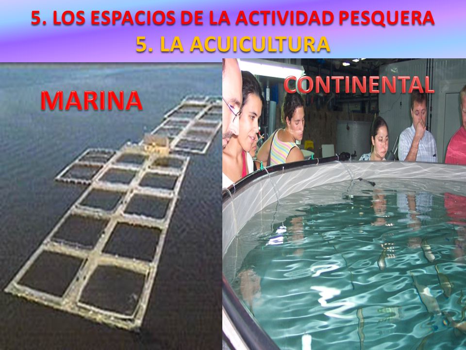 5. LOS ESPACIOS DE LA ACTIVIDAD PESQUERA 5. LA ACUICULTURA