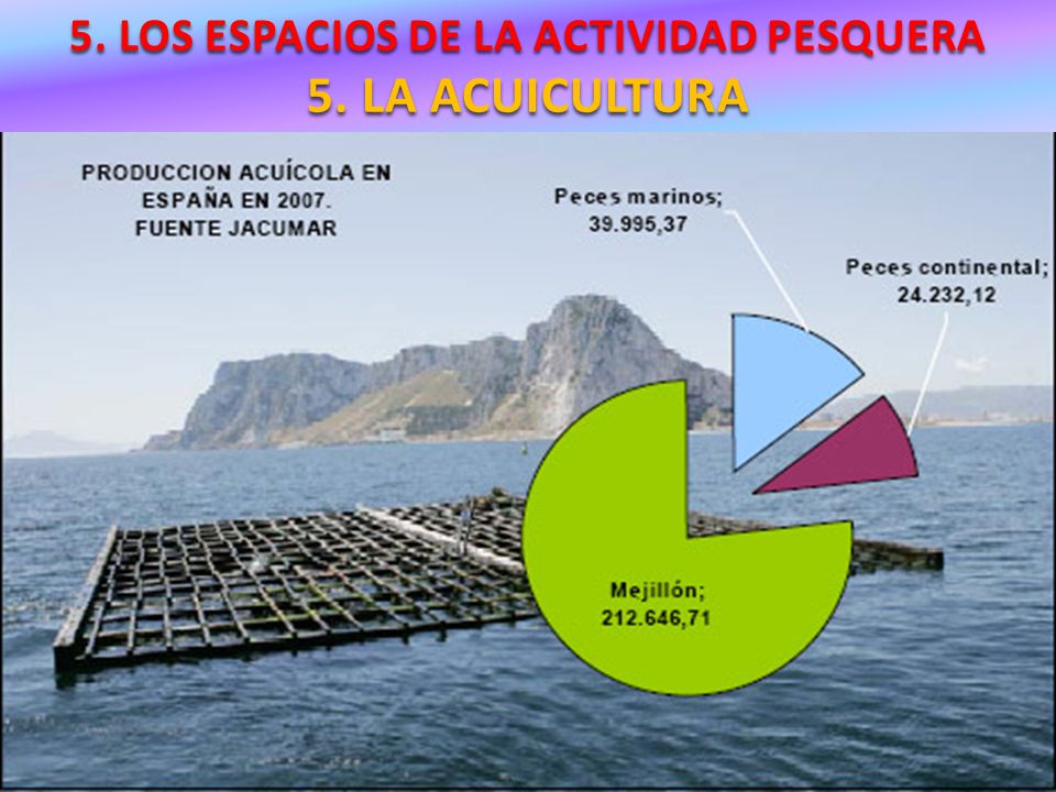 5. LOS ESPACIOS DE LA ACTIVIDAD PESQUERA 5. LA ACUICULTURA