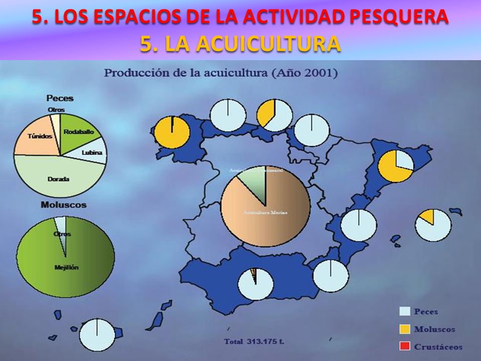 5. LOS ESPACIOS DE LA ACTIVIDAD PESQUERA 5. LA ACUICULTURA