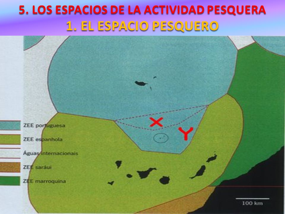5. LOS ESPACIOS DE LA ACTIVIDAD PESQUERA 1. EL ESPACIO PESQUERO
