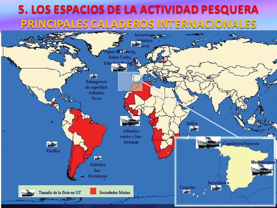 5. LOS ESPACIOS DE LA ACTIVIDAD PESQUERA PRINCIPALES CALADEROS INTERNACIONALES