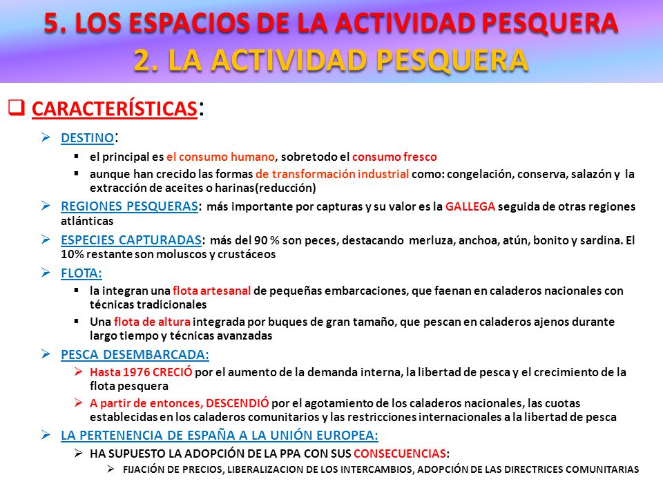 5. LOS ESPACIOS DE LA ACTIVIDAD PESQUERA 2. LA ACTIVIDAD PESQUERA