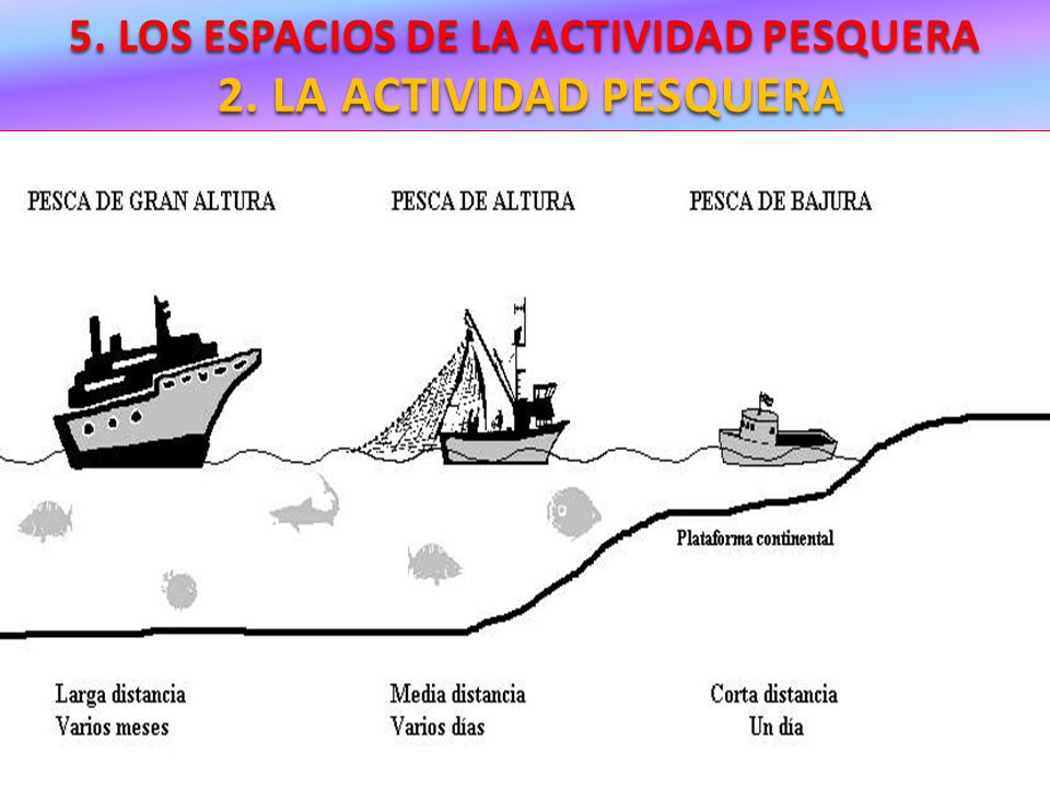 5. LOS ESPACIOS DE LA ACTIVIDAD PESQUERA 2. LA ACTIVIDAD PESQUERA