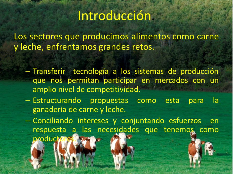 Introducción. Los sectores que producimos alimentos como carne y leche, enfrentamos grandes retos.
